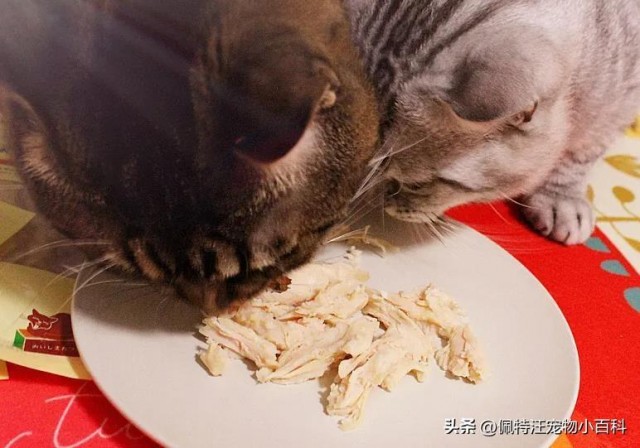 给猫咪喂食一半猫粮一半鸡胸肉可以吗